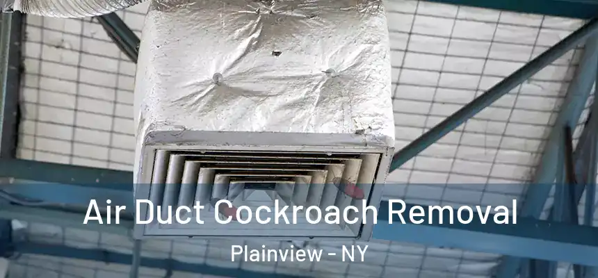 Air Duct Cockroach Removal Plainview - NY