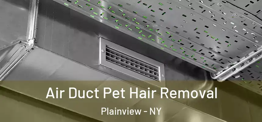 Air Duct Pet Hair Removal Plainview - NY