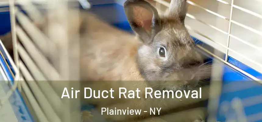 Air Duct Rat Removal Plainview - NY