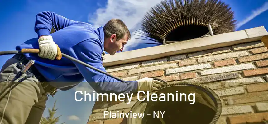  Chimney Cleaning Plainview - NY