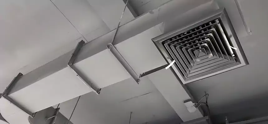 Restorative Allergy Relief Vent Cleaning – Coil, Blower & Housing Detail in Plainview