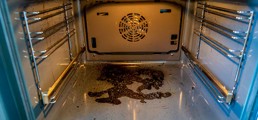 Our Dryer Vent Mold Cleaning Services in Plainview, NY