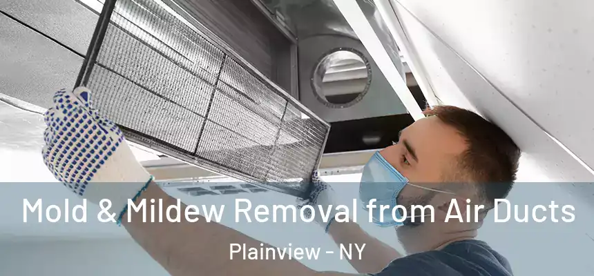 Mold & Mildew Removal from Air Ducts Plainview - NY