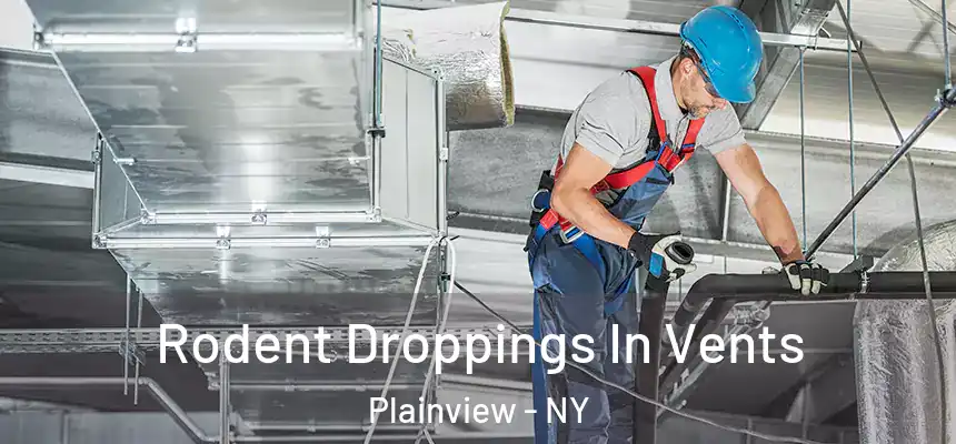 Rodent Droppings In Vents Plainview - NY
