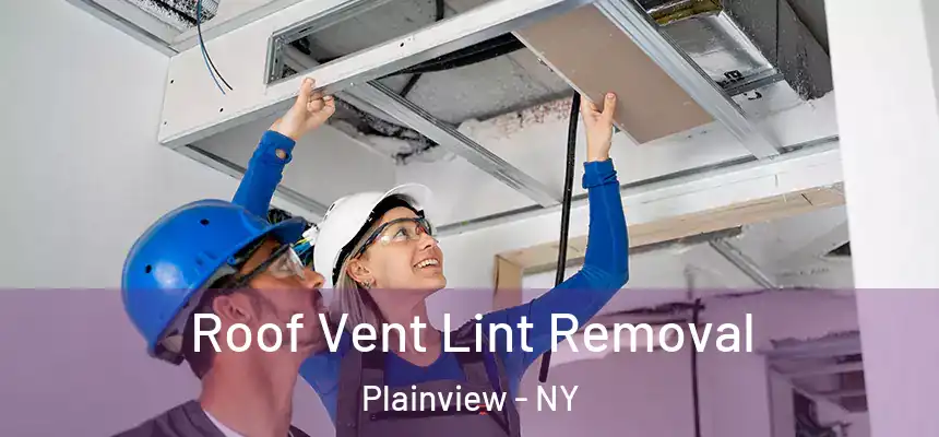 Roof Vent Lint Removal Plainview - NY