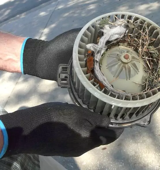 About Air Duct Mice Removal in Plainview, NY