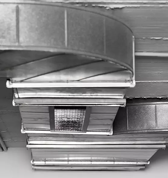 Professional Air Duct Pet Hair Removal in Plainview, NY