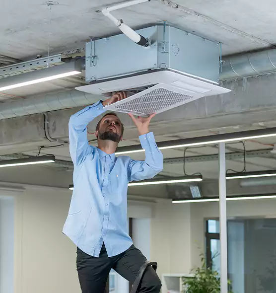 Advanced Rodent Droppings In Vents in Plainview, NY