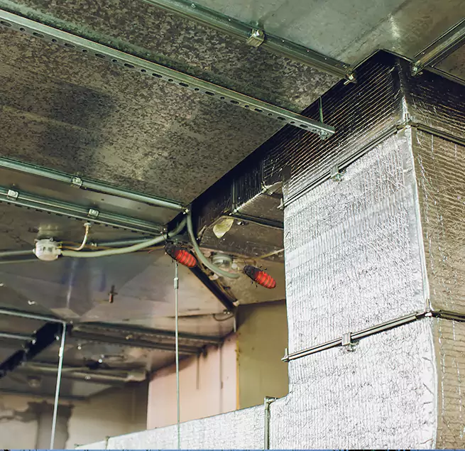 Why Homeowners & Businesses Trust Us in Plainview, NY?