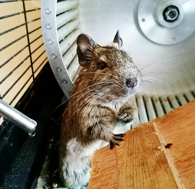 Why Homeowners & Businesses Trust Us Plainview, NY