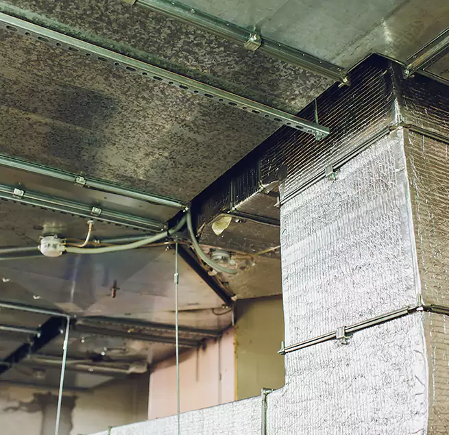 Why Homeowners & Businesses Trust Us in Plainview, NY?